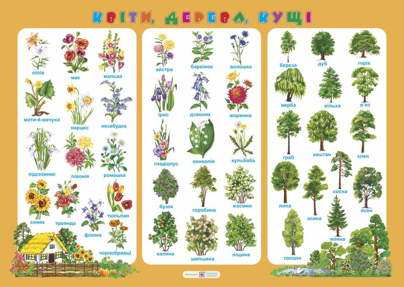 plakat_kvity_dereva_kushchi_2255555500613.jpg Плакат "Квіти, дерева, кущі" - Зображення 1