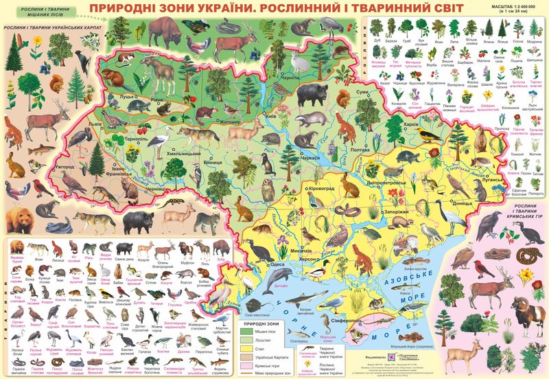 plakat_pryrodni_zony_ukrainy_roslynnyi_i_tvarynnyi_svit_2255555501283.jpg Плакат «Природні зони України. Рослинний і тваринний світ» - Зображення 1